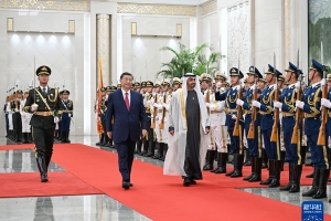 习近平同阿联酋总统穆罕默德会谈