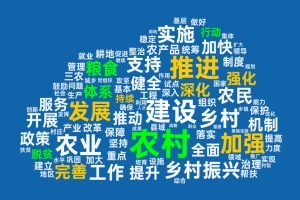 划重点！中央一号文件有哪些关键词？