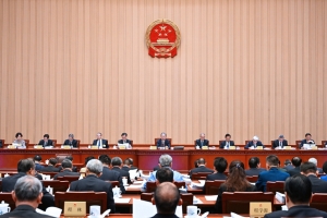 全国人大常委会审议增加地方政府债务限额置换存量隐性债务的议案
